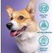Burns - Grain Free Adult Dog Food with Duck and Potatoes - 2 kg - Buy Online on GoSupps.com