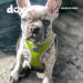 Ddoxx Reflecting Airmesh Step-in Dog Harness | Adjustable Puppy Dishes for All Sizes - Large (Yellow) Neck 34-44 cm | Chest 42-62 cm - Buy Online on GoSupps.com