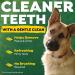 TropiClean Fresh Breath Dental Wipes for Dogs 50ct - No Brushing Teeth Cleaning - Removes Plaque & Tartar - Freshens Breath - Buy Online on GoSupps.com