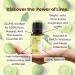 Rocky Mountain Oils Lime Essential Oil 15ml - Organic Pure Essential Oil for Diffusers | Therapeutic Grade Aromatherapy Oil | Natural Lime Aroma Blends for Home Use - Buy Online on GoSupps.com