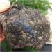 Natural Crystal Rough Natural and Beautiful Labrador Crystal Raw Stone Rough Aura 1pc 650-750g Household - Buy Online on GoSupps.com