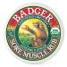 Badger Company Sore Muscle Rub Cayenne & Ginger .75 oz (21 g)
