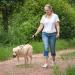 Buy Vivaglory Short Dog Leash - 46cm Training Leash for Medium & Large Dogs - Durable Black Traffic Leash - Buy Online on GoSupps.com