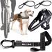 Bike and Dog - dog leash and dogs for the bike dishes with 3 rings 2 of which side including 2 special bicycle bridles.Patented.Dog leash and dog harness XL black