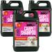 Pro-Kleen MAXPLUS Carpet Shampoo Cleaner Premium Formula to Remove Dirt Stains Marks Pet Deposits & Odours Suitable for all Machines (Orange & Jasmine 3 x 5L)