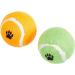 Sharples N Grant Fetch Tennis Balls Pack of 6 - Buy Online on GoSupps.com