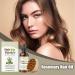 Oil for Dry Hair | Natural Moisturizer with Scalp Massage 100ml Nourishing and Repairing Oil Set | For Curly Frizzy Long Fine Straight Hair with Split Ends Men and Women - Buy Online on GoSupps.com