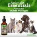 Animal Essentials Joint Support Supplement for Dogs and Cats 1oz - Alcohol-Free Pain Relief - Made in USA - Buy Online on GoSupps.com