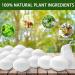 24 Pack Peppermint Oil Rodent Repellent for Cars, Campers, and Indoors - Mouse & Rat Deterrent for Garage - Pet Friendly - Buy Online on GoSupps.com