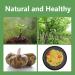 Hethstia Konjac Noodle Diet Angel Hair 6 Pack - Low-Carb, Plant-Based Shirataki Noodle for Keto, Paleo, and Vegan Diets - Sugar-Free, Gluten-Free, and Low Calorie Oat Flavor Option - Buy Online on GoSupps.com