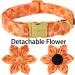 Adjustable Autumn Dog Collar with Flower - Yellow Cotton Band for Small Medium & Large Dogs | Perfect for Fall | Pack of 1 - Buy Online on GoSupps.com