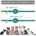 Oopsdoggy Leather Airtag Cat Collar with Bell | Durable GPS Pet Collar for Cats & Small Dogs | Light & Stylish Design (Aquamarine) - Buy Online on GoSupps.com