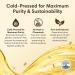 ProSeed Handmade Raw Wheat Germ Oil Virgin Unfiltered & Cold-Pressed Non-GMO Carrier Oil High in Vitamin E & Omega Fatty Acids for Hair Face Skin & Body 240ml (8oz) Glass Bottle 8 Ounce - Buy Online on GoSupps.com