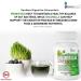 Organic Chlorella Probiotics Supplements - Chlorella Powder Capsules Broken Cell Wall Algae - 60 Vegan Hard Capsules Comparable to Chlorella tablet Organic Chlorella Capsuls for Ultimate Nutrition - Buy Online on GoSupps.com