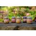 BABYBIO - Small Apple Peach Pots - 2x130g - 4+ Months - Set of 6 - ORGANIC - Buy Online on GoSupps.com