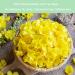 Mullein Leaf Tea Bags - Lung Cleanse & Respiratory Support | 40 Bags - Buy Online on GoSupps.com