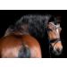Tyssons Breeches Anatomical Bridle - Reitzaum Relax Shared Neck Piece Black Brown Cognac Ros gold Full Rhinestone Glitter Soft Leather for Ponies (Noric) - Buy Online on GoSupps.com