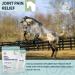 PURICA Vegan Equine Glucosamine - 1kg - Premium Joint Supplement for Enhanced Movement 1 kg (Pack of 1) - Buy Online on GoSupps.com