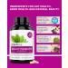 Zenwise Probiotic + Kombucha + Beauty - 60 Veg Capsules for Digestive Health - Buy Online on GoSupps.com