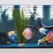Buy Aquarium Plants Decoration - Lifelike Plastic & Artificial Aquatic Plants for Stunning Aquarium Decor - Buy Online on GoSupps.com