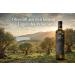  OLEUS PREMIUM Premium quality olive oil - Cold pressed - Greece - For cooking/roasting - Extra Virgin - Mild fruity - 100% Koroneiki - Olives | Messinia | Gift | 500ml glass bottle - Buy Online on GoSupps.com