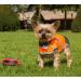 4LegsFriend Reflective Dog Safety Vest - XS | High Visibility for Day and Night Outdoor Activities | Protect Your Dog from Cars & Hunting Accidents | Blaze Orange - Buy Online on GoSupps.com