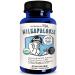 Legendairy Milk Milkapalooza Lactation Supplement for Breastfeeding Moms, Increase Breast Milk Supply with Organic Moringa, Fennel, Nettle, & Shatavari, Vegan Postpartum Essentials Fenugreek-Free 60ct