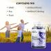 Wild Organic Brain Booster Gummies - Cognitive Function Support with Ashwagandha Bacopa Ginkgo Biloba - 60 Chewables - Buy Online on GoSupps.com