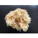 Premium Sea Wool Art Sponge: Professional Grade for Painting, Decorating, Texturing, and More - Buy Online on GoSupps.com