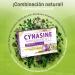  DietMed Dietmed | Cynasine Depur Plus - 30 x 15 ml Ampoules | Desmodium Artichoke & Brassicare (patented broccoli extract) - Buy Online on GoSupps.com