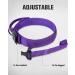 Joytale Tactical Dog Collar for Medium Dogs | Handle & QR Code Tag | Durable Purple Dog Collar - Buy Online on GoSupps.com