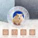 LuluDa Dwarf Hamster Ball 2 PCS Small Hamster Exercise Balls Running Wheel Cute Jogging Balls Toys Relieve Boredom Interactive Toys For Dwarf Hamster Small Pet(Blue and Orange) - Buy Online on GoSupps.com
