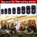 Dog Boots Paw Protectors - Large Dog Shoes for Winter Snow - Extra Large Booties for Outdoor/Running/Hiking - Non-Slip Straps - 4Pcs (Black, Size 6) - Buy Online on GoSupps.com