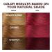 Dark Wine Red Hair Dye Shampoo for Women - 15 Min Semi-Permanent Burgundy - Organic 3IN1 Color (16.9FL OZ - Buy Online on GoSupps.com