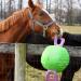 Signature Horsemen's Pride 14-Inch Horse Jolly Tug Blue one size - Buy Online on GoSupps.com