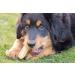 Wildfang Coffee Wood Dogs | Durable 100% Natural Chewing Root for Small Breeds (XXS) - Safe & Splinter-Free Chew Toy for Dogs & Puppies Up to 5 kg - Buy Online on GoSupps.com