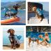 Kuoser Dog Life Jacket Vest with Shark Fin for Swimming and Boating - Blue XL - Buy Online on GoSupps.com