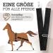 Esposita Elastic Lunging Aid Horse Pony Body Band Horses Floor Work Accessories Lunging Set Body Bandage Lunging System Training System - Buy Online on GoSupps.com