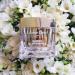 Leonor Greyl Paris Masque Quintessence: Deep Conditioning Mask for Brittle Hair - 6.7 Oz, Gluten Free & Vegan - Buy Online on GoSupps.com