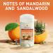 Old Spice Whole Body Deodorant for Men Total Body Deodorant Mandarin + Sandalwood Aluminum Free Deodorant Stick for 24/7 Freshness // Dermatologist Tested Whole Body Deodorant 3.0 oz - Buy Online on GoSupps.com