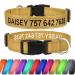 Tagme personalized dog collar for small dog with embroidered reflective nylon dog collar with PET name & telephone number Khaki XS XS (1 Pack) Khaki
