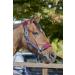 LeMieux Vogue Fleece Headcollar & Leadrope Halter for Ponies - Burgundy/Navy | Shop Internationally - Buy Online on GoSupps.com