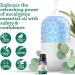 GuruNanda Eucalyptus Essential Oil - 100% Pure Aromatherapy Oil for Diffusers & Massages - Congestion Relief (0.5 Fl Oz - Buy Online on GoSupps.com