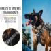 OneTigris Dog Collar with Metal Buckle for Dogs - Durable Grey LL Dog Collar for Ultimate Comfort & Style - International Shipping Available - Buy Online on GoSupps.com