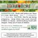 Herb Lore Organic Blessed Thistle for Breastfeeding Support - Liquid Lactation Supplement - 4 fl oz - Buy Online on GoSupps.com