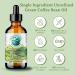 Green Coffee Bean Oil 473 ml Rich in Antioxidants Natural Moisturizer Versatile Use Bella Terra Oils  - Buy Online on GoSupps.com