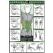 6PCS Workout Chart Posters for Home Gym | Fitness Dumbbell Exercise Motivational Decor | Exercise Charts for Triceps, Shoulders, Legs, Back, Chest, Abs | Oil on Canvas Gym Art - Buy Online on GoSupps.com