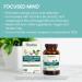 Himalaya Focused Mind: Ashwagandha Bacopa & L-Theanine for Enhanced Focus Energy & Attention - 60 Vegan Capsules Gluten Free 1 Month Supply - Buy Online on GoSupps.com