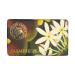 Royal Botanical Gardens Kew Jasmine Peach Luxury Shea Butter Soap 240g