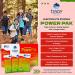 Trace Minerals Electrolyte Stamina PowerPak - Watermelon Flavor, 30 Effervescent Packets (0.19 oz Each) - Buy Online on GoSupps.com